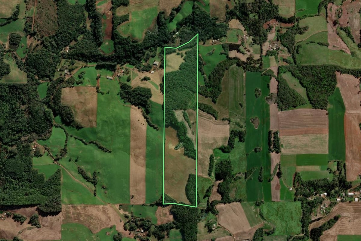 Imagem de satélite do imóvel rural em Paulo Bento (RS), com o contorno declarado no CAR desenhado por cima.