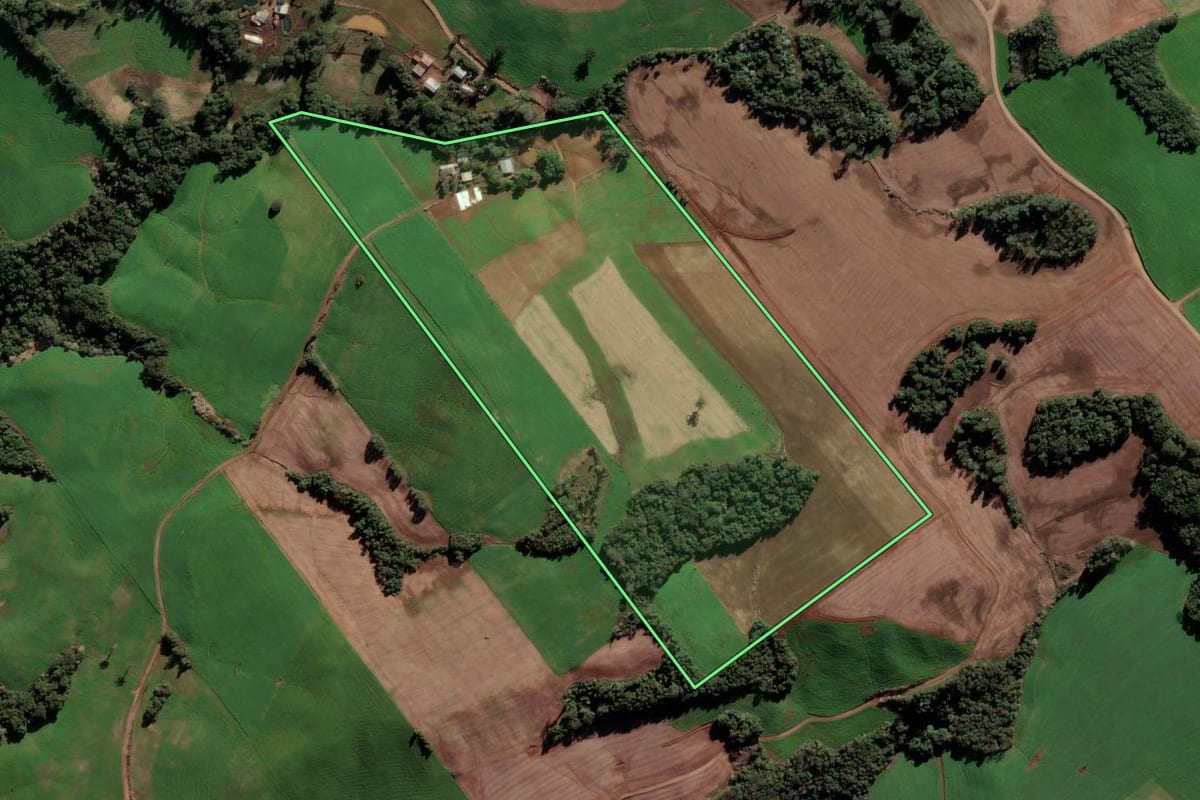 Imagem de satélite do imóvel rural em Paulo Bento (RS), com o contorno declarado no CAR desenhado por cima.