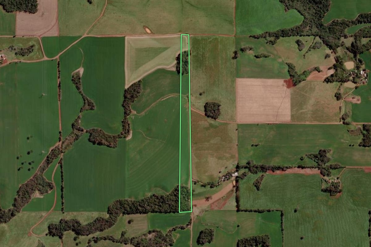 Imagem de satélite do imóvel rural em Paulo Bento (RS), com o contorno declarado no CAR desenhado por cima.