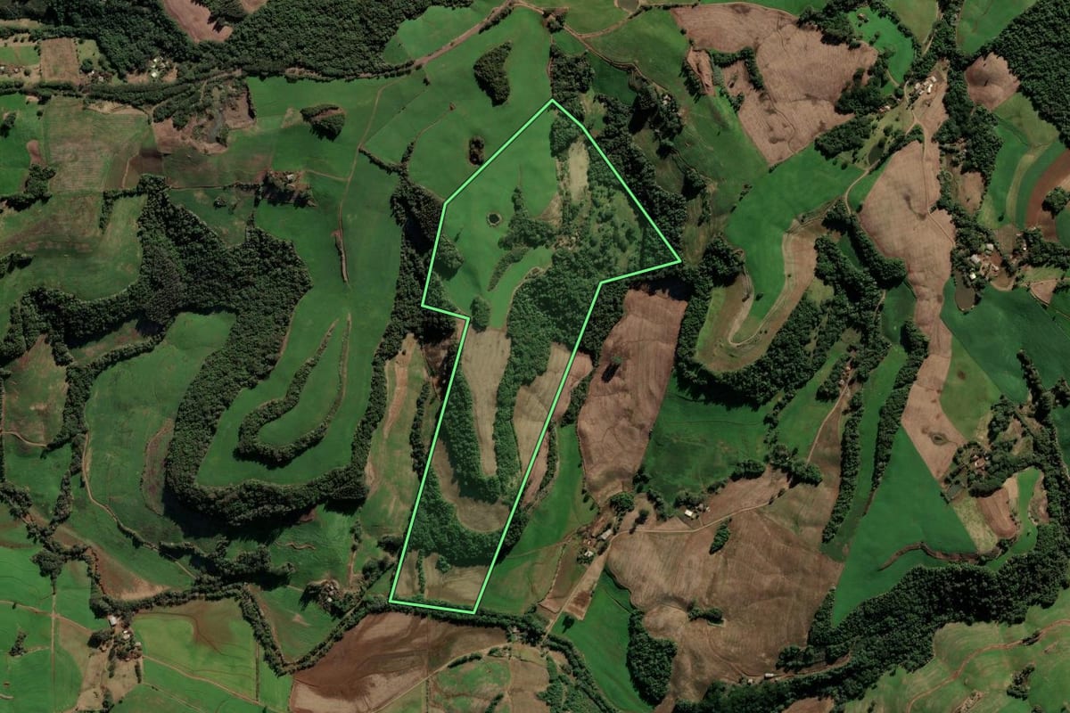 Imagem de satélite do imóvel rural em Paulo Bento (RS), com o contorno declarado no CAR desenhado por cima.