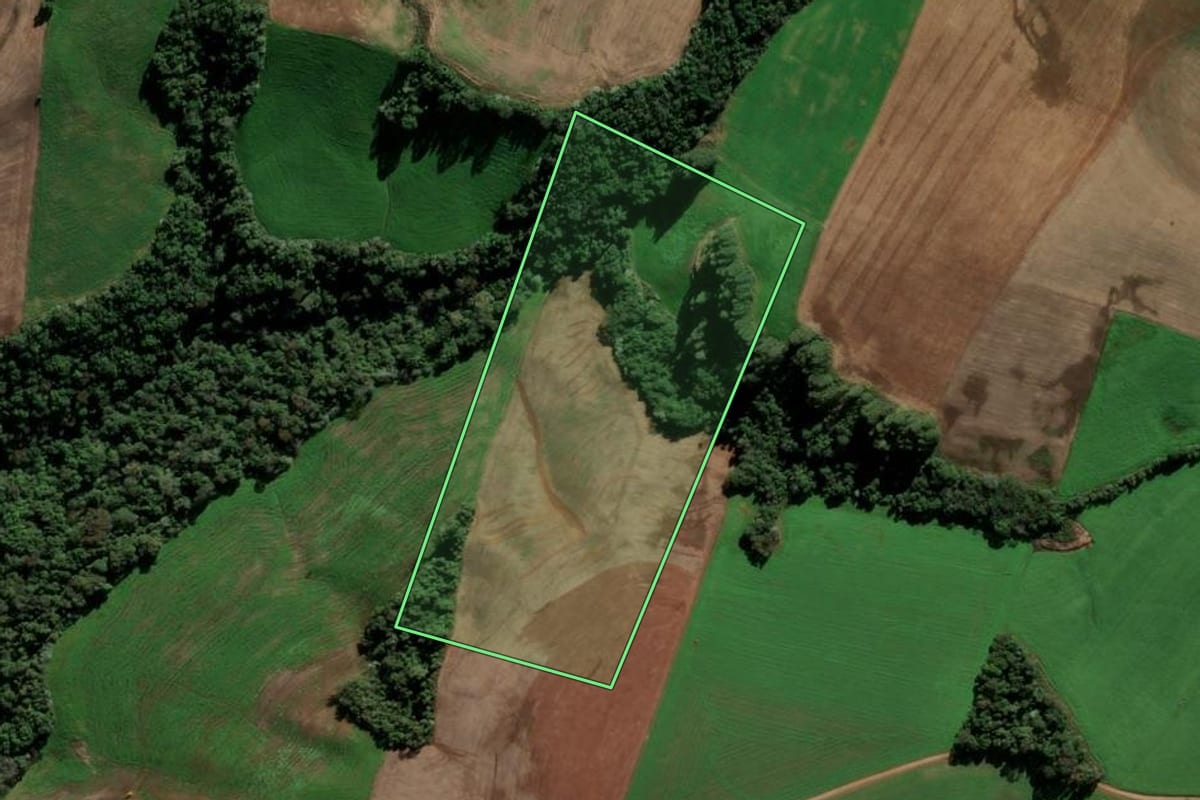 Imagem de satélite do imóvel rural em Paulo Bento (RS), com o contorno declarado no CAR desenhado por cima.