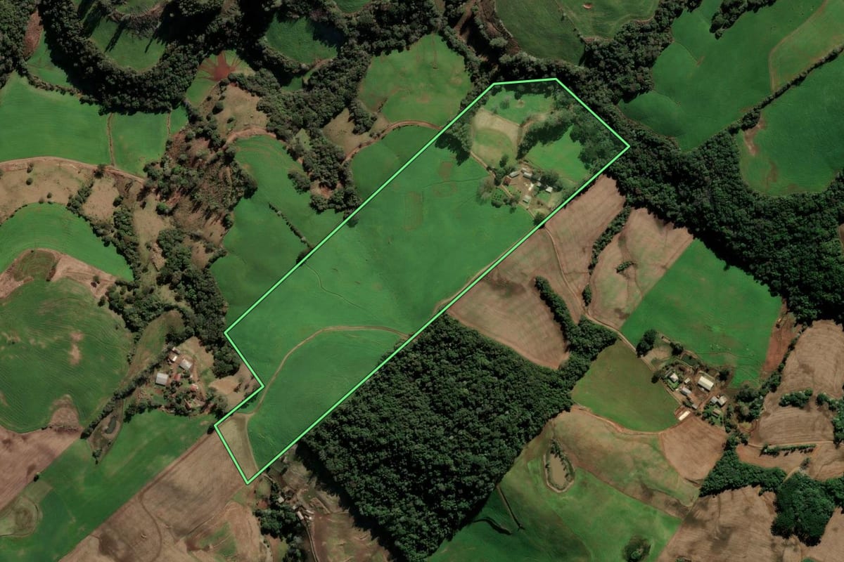 Imagem de satélite do imóvel rural em Paulo Bento (RS), com o contorno declarado no CAR desenhado por cima.
