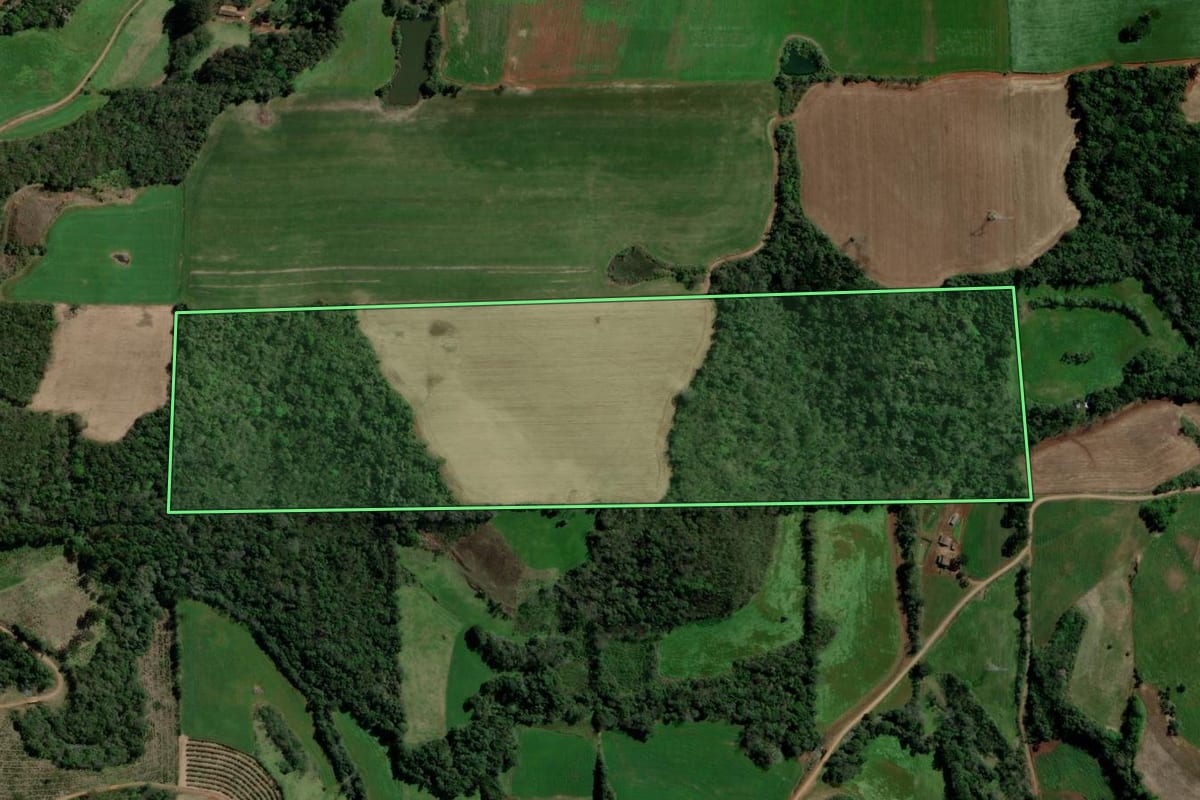 Imagem de satélite do imóvel rural em Paulo Bento (RS), com o contorno declarado no CAR desenhado por cima.
