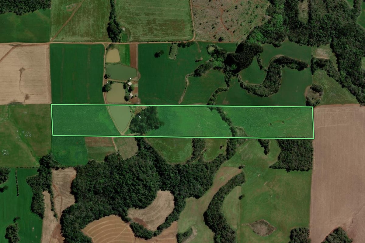 Imagem de satélite do imóvel rural em Paulo Bento (RS), com o contorno declarado no CAR desenhado por cima.