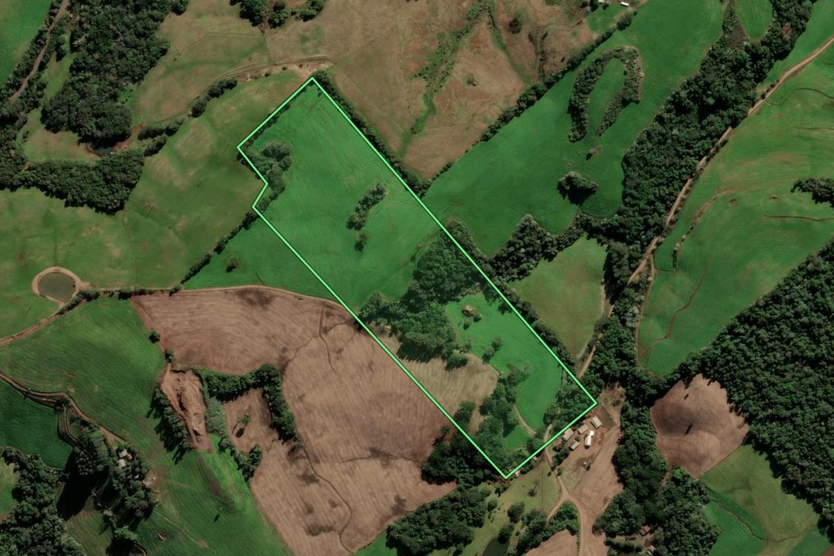 Imagem de satélite do imóvel rural em Paulo Bento (RS), com o contorno declarado no CAR desenhado por cima.