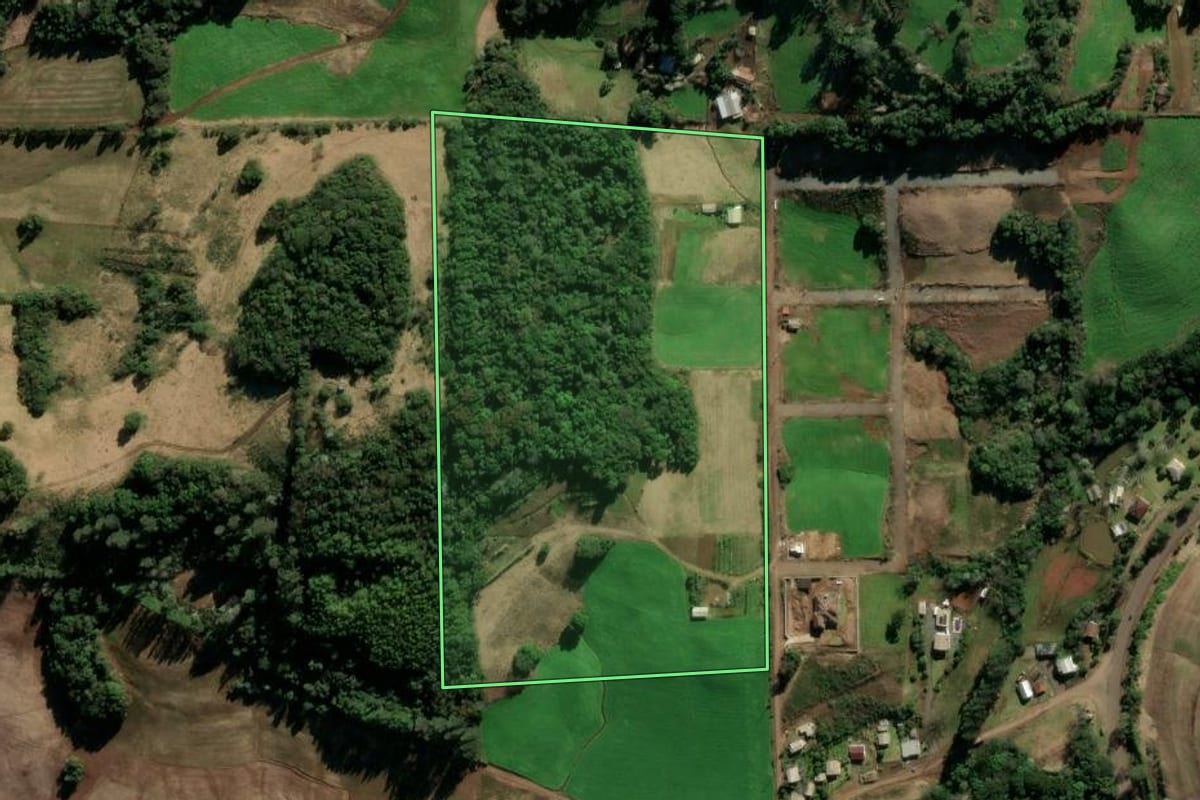 Imagem de satélite do imóvel rural em Paulo Bento (RS), com o contorno declarado no CAR desenhado por cima.
