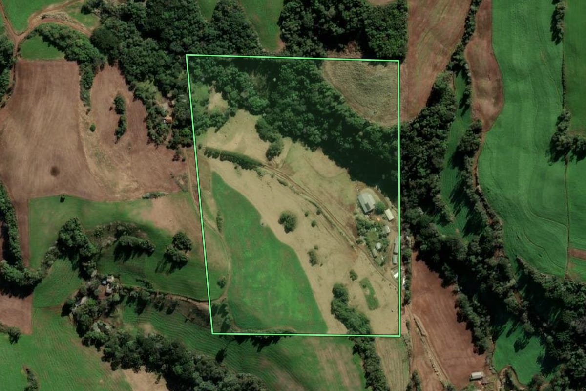 Imagem de satélite do imóvel rural em Paulo Bento (RS), com o contorno declarado no CAR desenhado por cima.