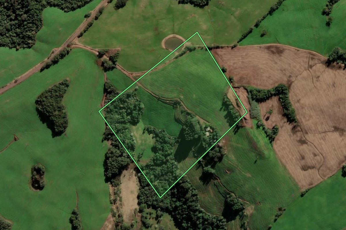 Imagem de satélite do imóvel rural em Paulo Bento (RS), com o contorno declarado no CAR desenhado por cima.