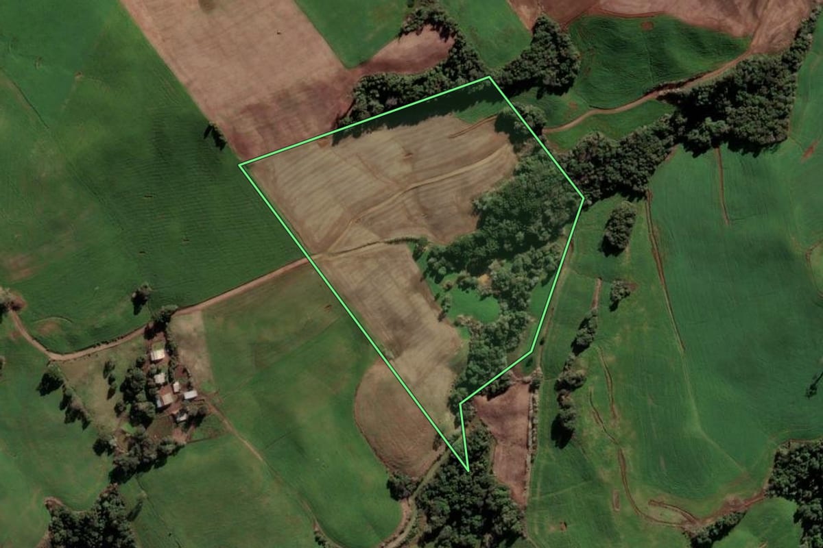 Imagem de satélite do imóvel rural em Paulo Bento (RS), com o contorno declarado no CAR desenhado por cima.