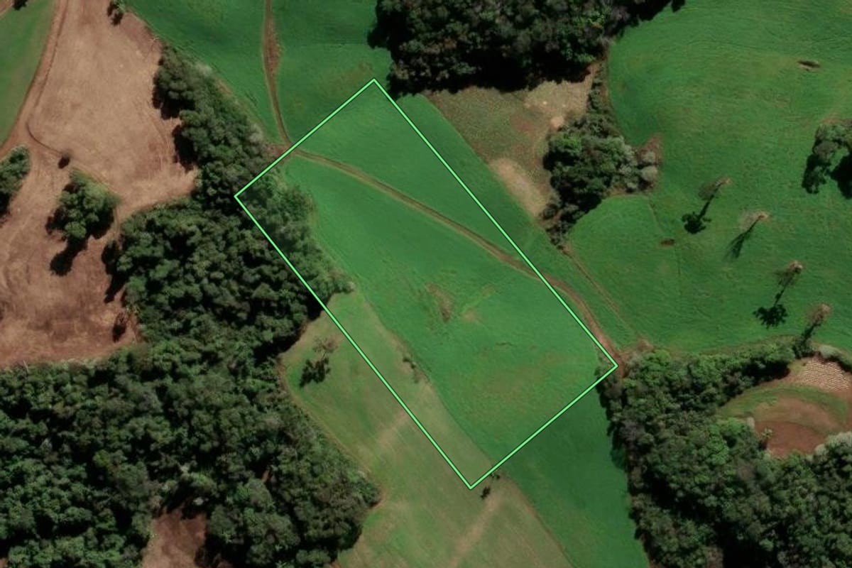 Imagem de satélite do imóvel rural em Paulo Bento (RS), com o contorno declarado no CAR desenhado por cima.