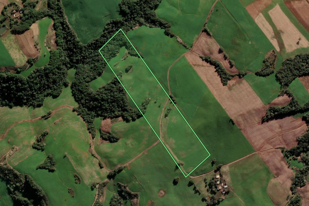 Imagem de satélite do imóvel rural em Paulo Bento (RS), com o contorno declarado no CAR desenhado por cima.