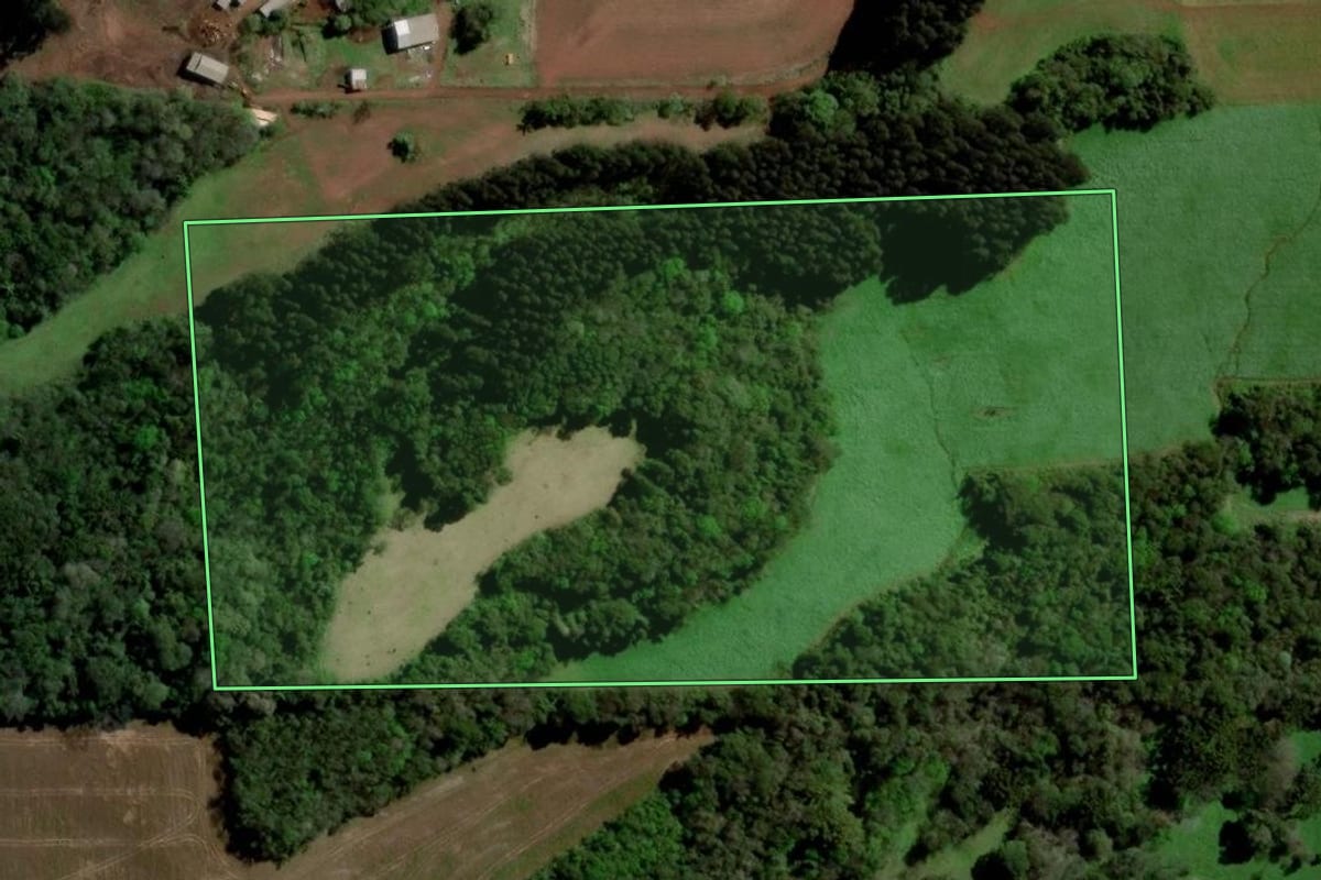 Imagem de satélite do imóvel rural em Paulo Bento (RS), com o contorno declarado no CAR desenhado por cima.