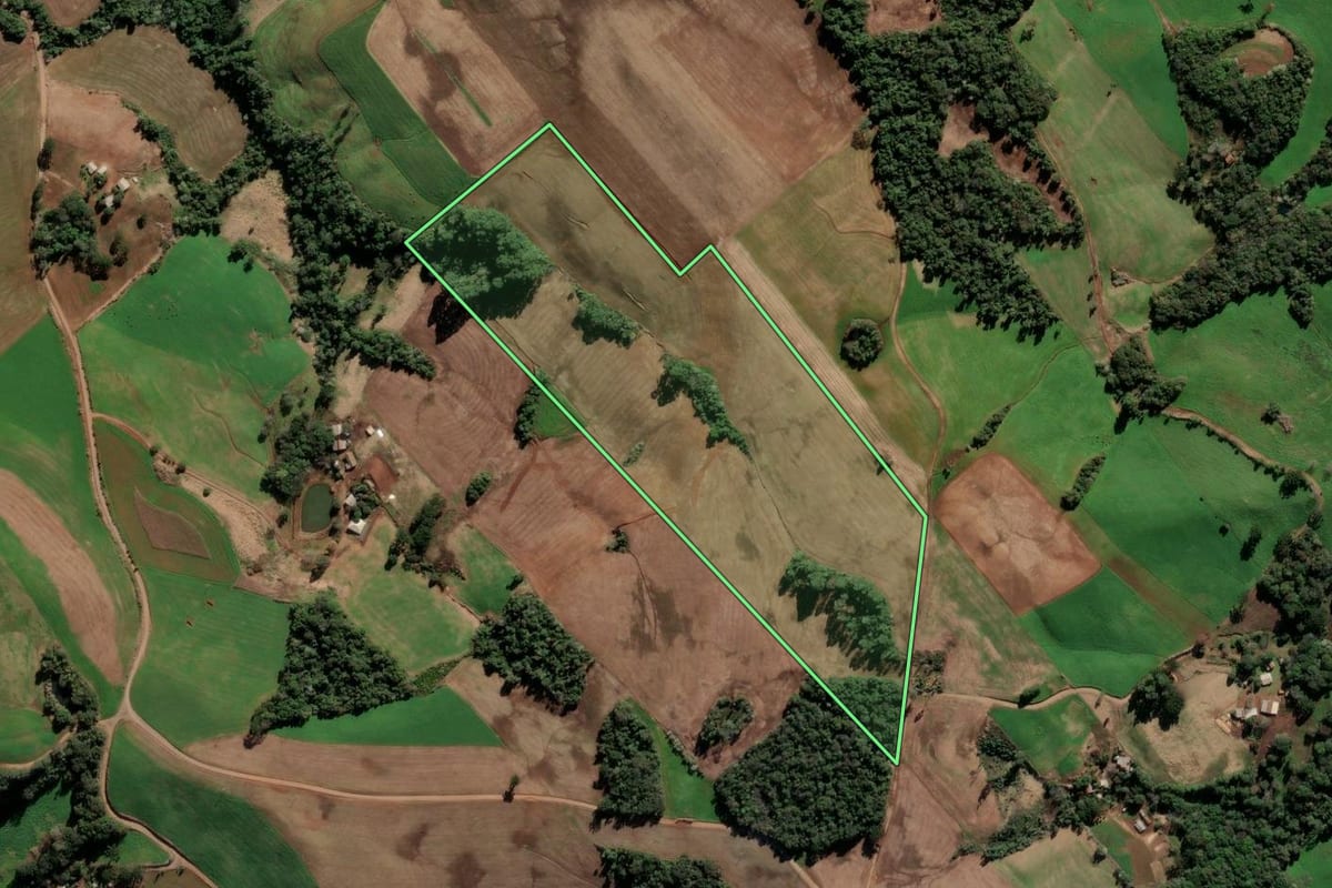 Imagem de satélite do imóvel rural em Paulo Bento (RS), com o contorno declarado no CAR desenhado por cima.