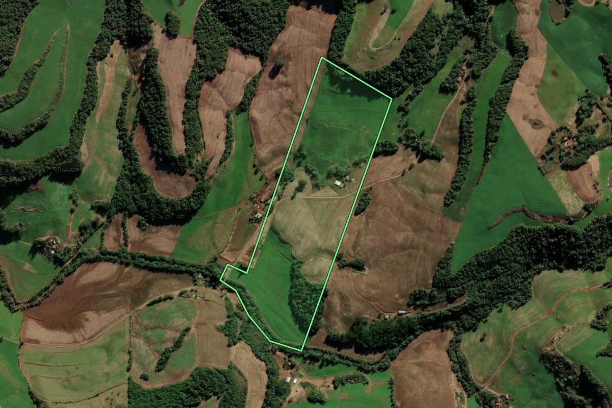 Imagem de satélite do imóvel rural em Paulo Bento (RS), com o contorno declarado no CAR desenhado por cima.
