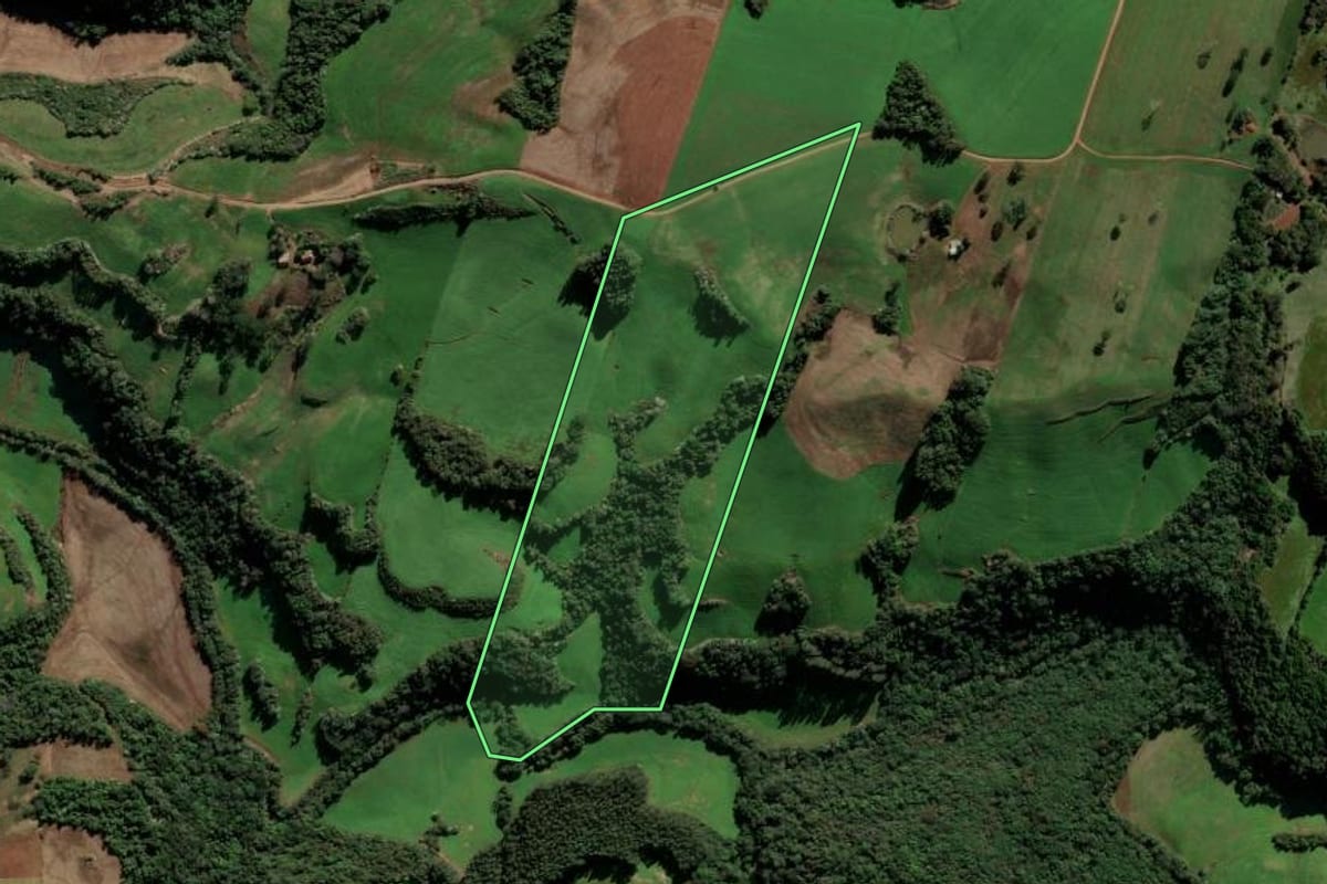 Imagem de satélite do imóvel rural em Paulo Bento (RS), com o contorno declarado no CAR desenhado por cima.