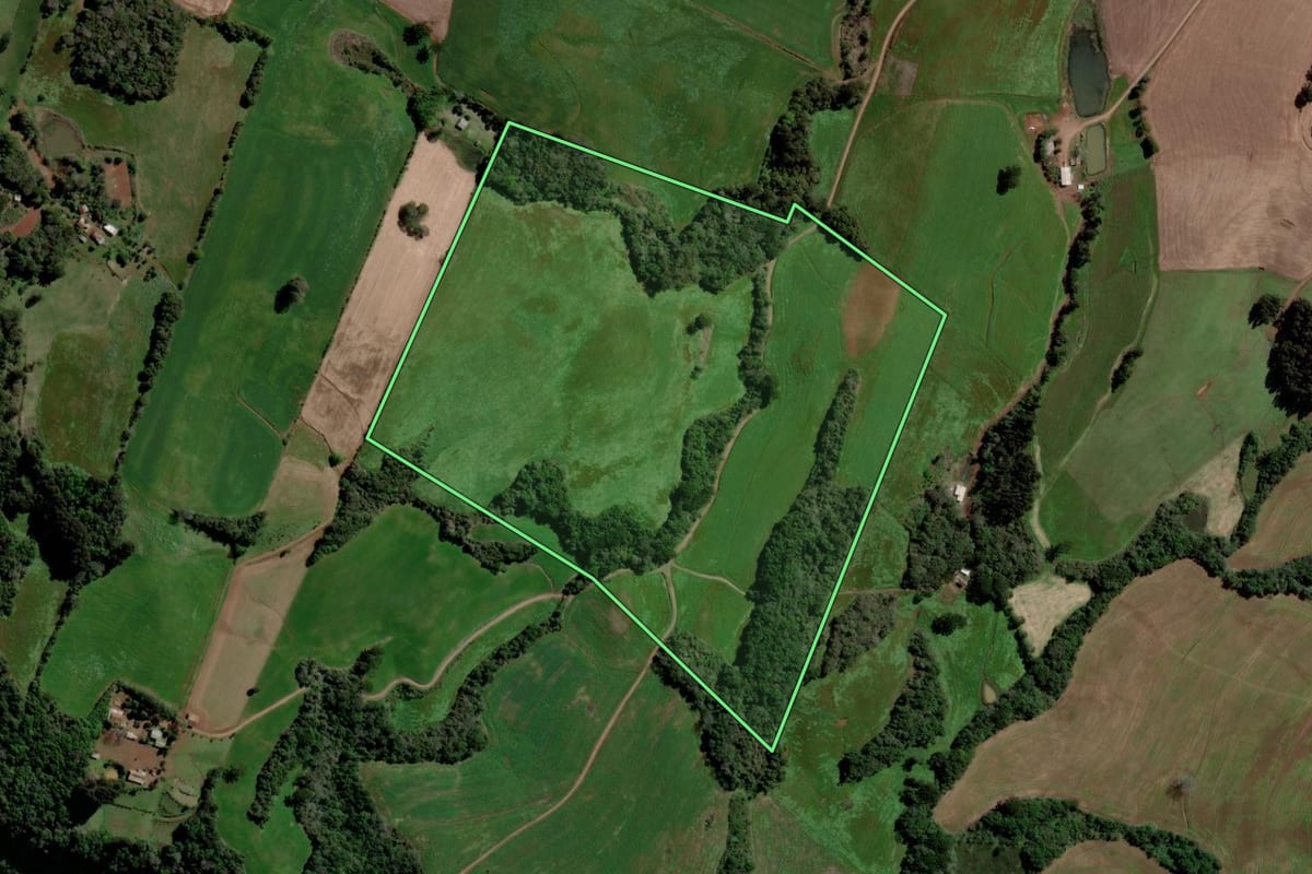 Imagem de satélite do imóvel rural em Paulo Bento (RS), com o contorno declarado no CAR desenhado por cima.