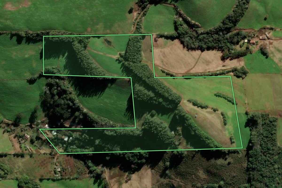 Imagem de satélite do imóvel rural em Paulo Bento (RS), com o contorno declarado no CAR desenhado por cima.