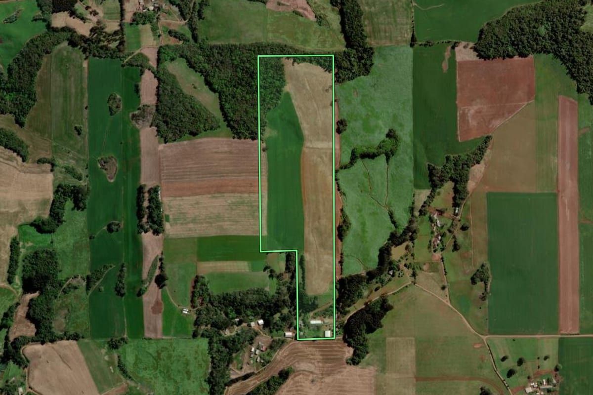 Imagem de satélite do imóvel rural em Paulo Bento (RS), com o contorno declarado no CAR desenhado por cima.