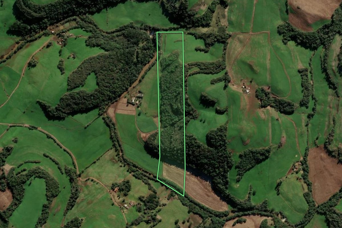 Imagem de satélite do imóvel rural em Paulo Bento (RS), com o contorno declarado no CAR desenhado por cima.