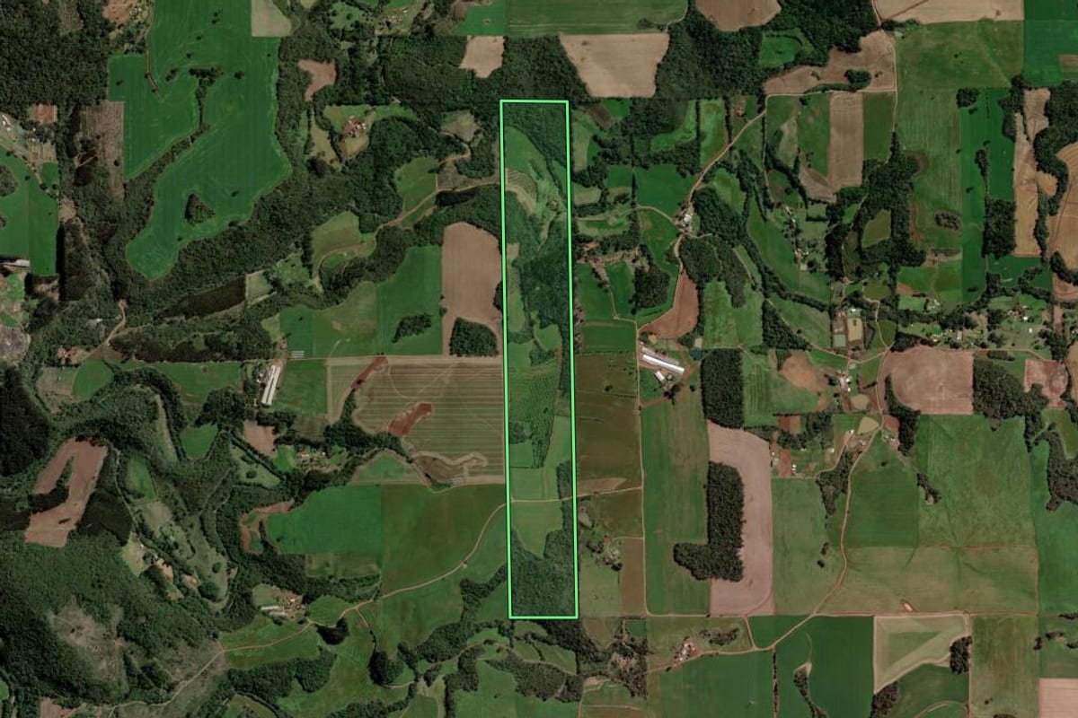 Imagem de satélite do imóvel rural em Paulo Bento (RS), com o contorno declarado no CAR desenhado por cima.