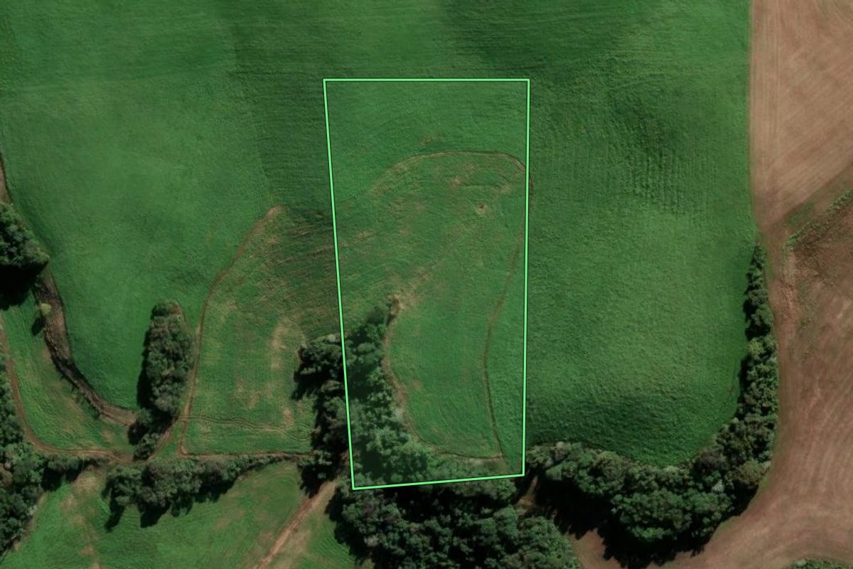 Imagem de satélite do imóvel rural em Paulo Bento (RS), com o contorno declarado no CAR desenhado por cima.