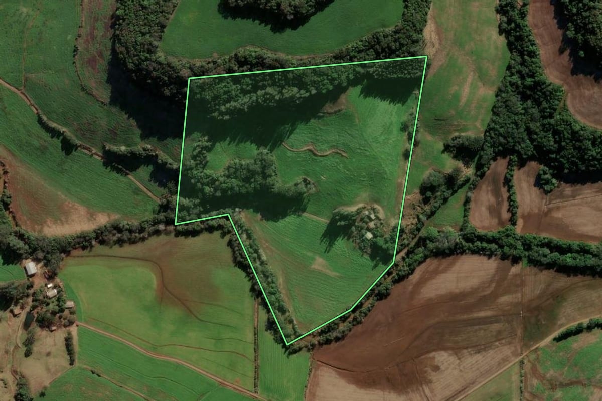 Imagem de satélite do imóvel rural em Paulo Bento (RS), com o contorno declarado no CAR desenhado por cima.