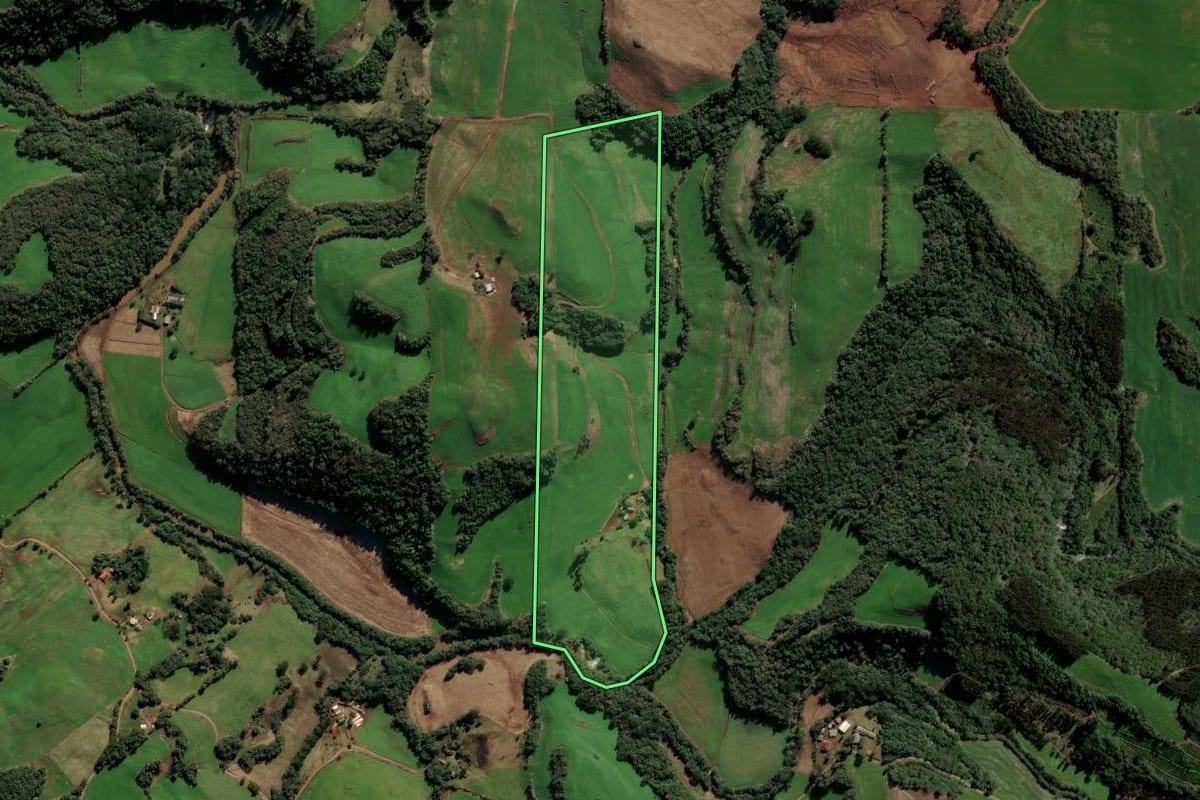 Imagem de satélite do imóvel rural em Paulo Bento (RS), com o contorno declarado no CAR desenhado por cima.
