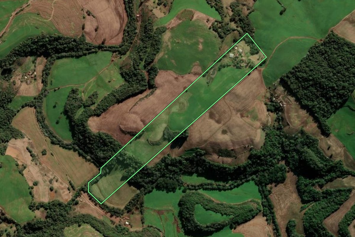Imagem de satélite do imóvel rural em Paulo Bento (RS), com o contorno declarado no CAR desenhado por cima.