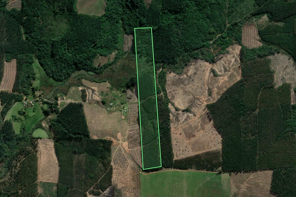 Imagem de satélite do imóvel rural em Paverama (RS), com o contorno declarado no CAR desenhado por cima.