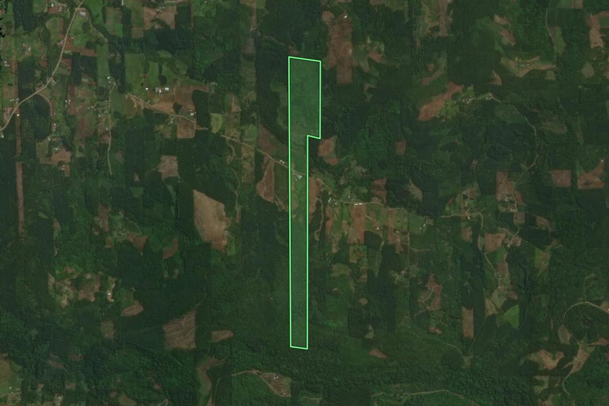 Imagem de satélite do imóvel rural em Paverama (RS), com o contorno declarado no CAR desenhado por cima.