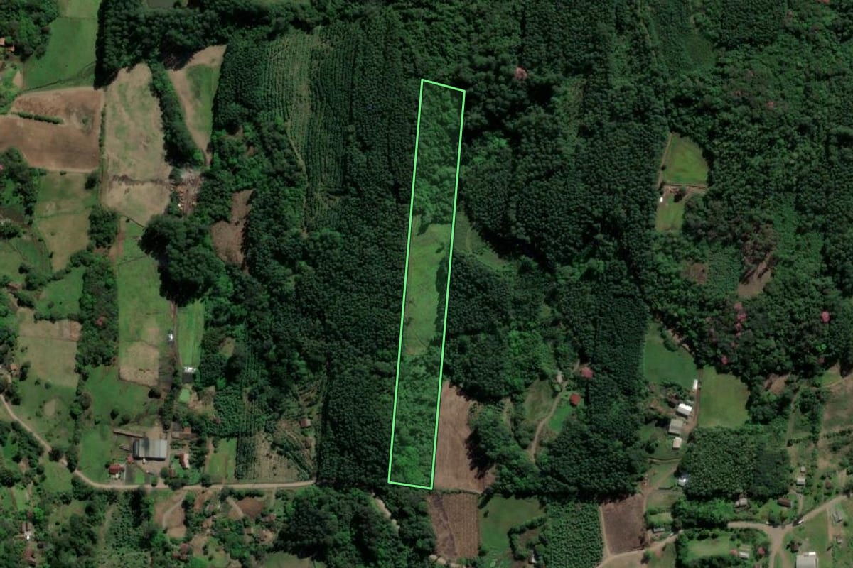 Imagem de satélite do imóvel rural em Paverama (RS), com o contorno declarado no CAR desenhado por cima.
