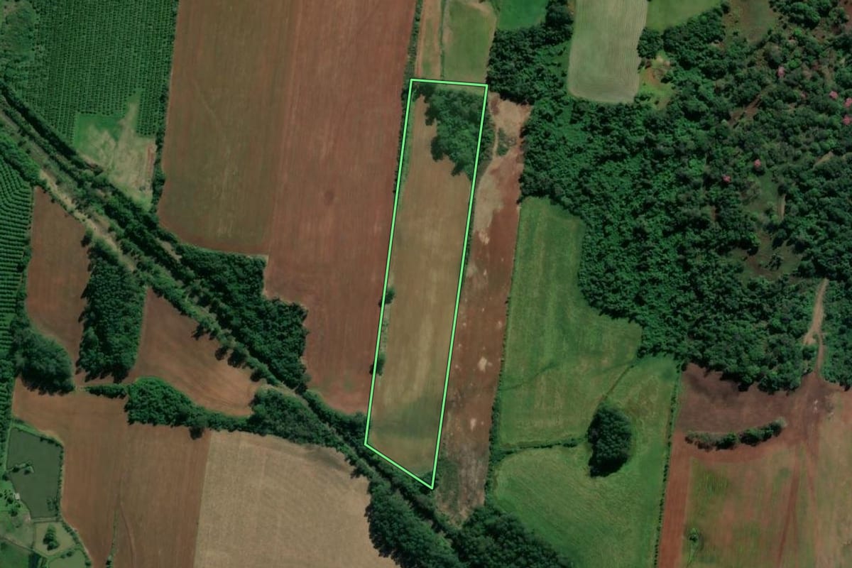 Imagem de satélite do imóvel rural em Paverama (RS), com o contorno declarado no CAR desenhado por cima.