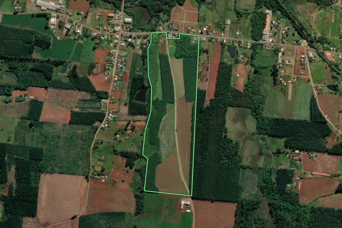 Imagem de satélite do imóvel rural em Paverama (RS), com o contorno declarado no CAR desenhado por cima.