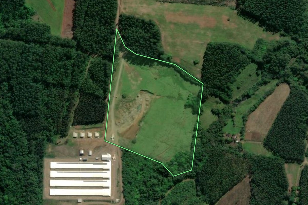 Imagem de satélite do imóvel rural em Paverama (RS), com o contorno declarado no CAR desenhado por cima.