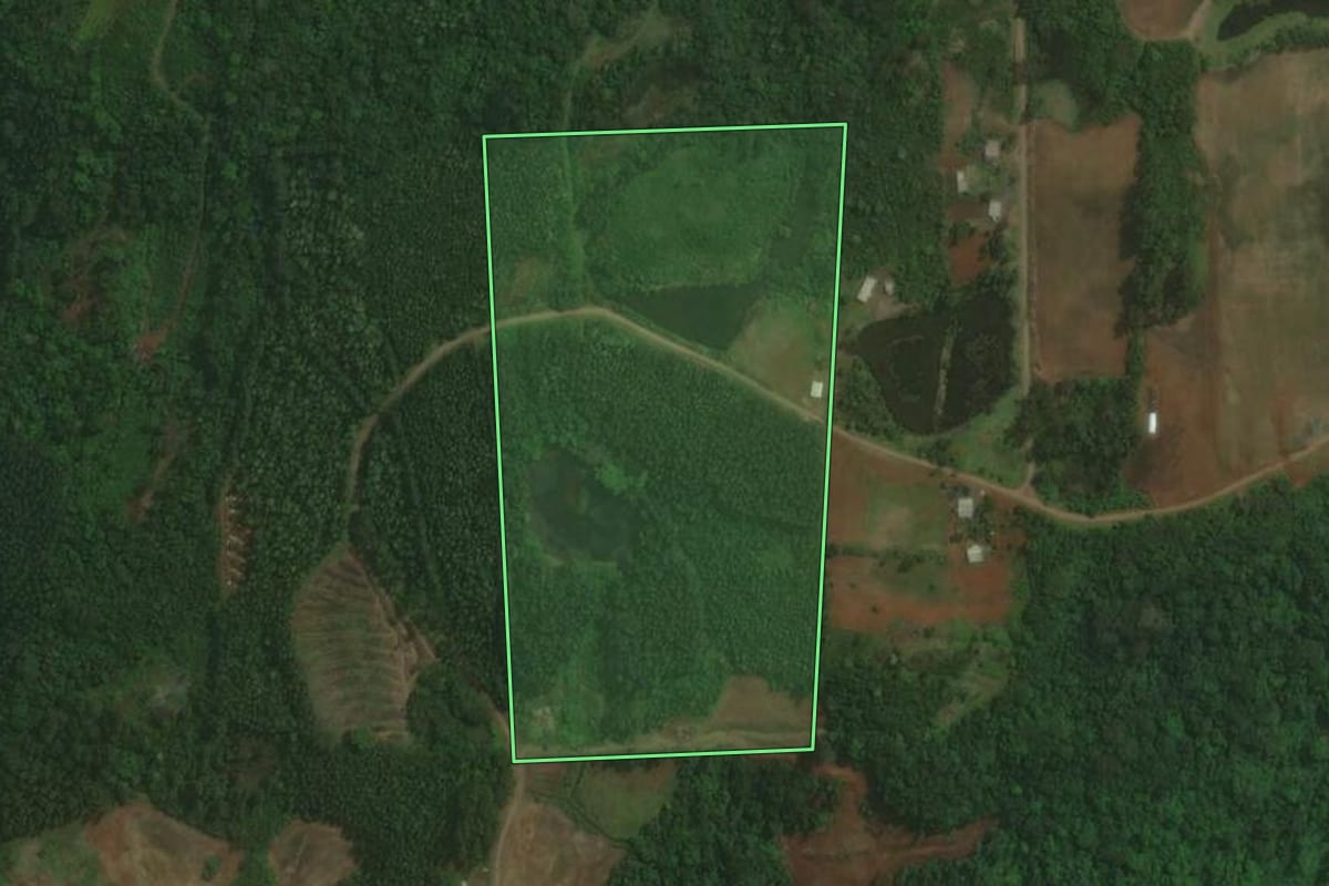 Imagem de satélite do imóvel rural em Paverama (RS), com o contorno declarado no CAR desenhado por cima.