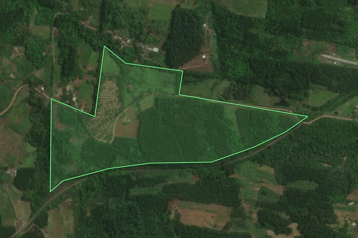 Imagem de satélite do imóvel rural em Paverama (RS), com o contorno declarado no CAR desenhado por cima.