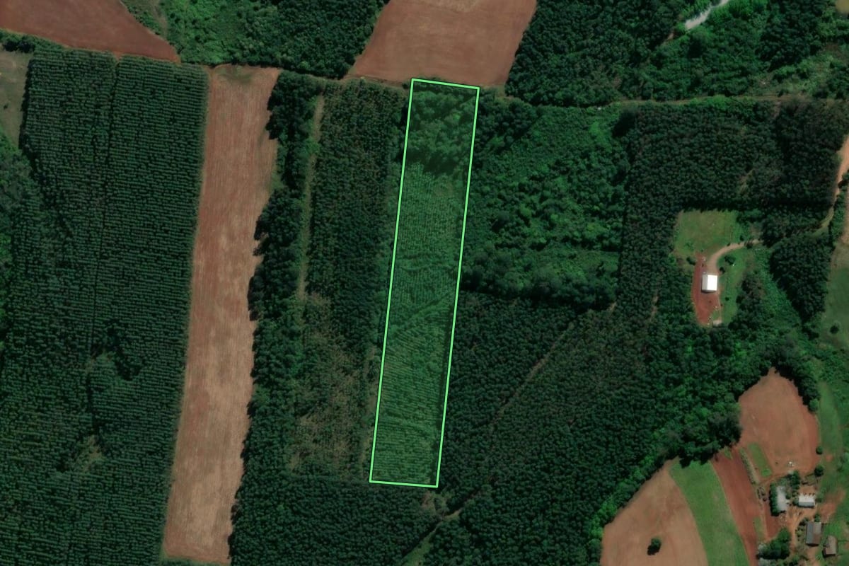 Imagem de satélite do imóvel rural em Paverama (RS), com o contorno declarado no CAR desenhado por cima.