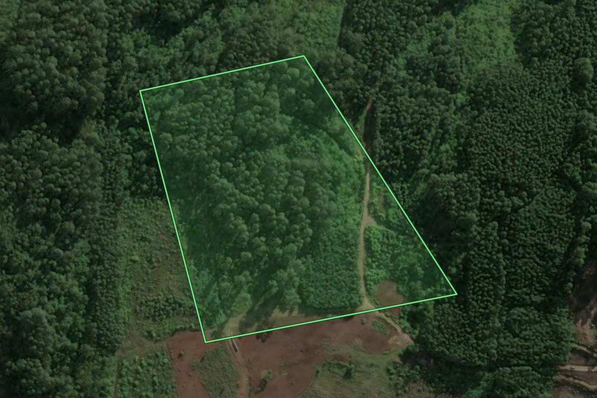 Imagem de satélite do imóvel rural em Paverama (RS), com o contorno declarado no CAR desenhado por cima.