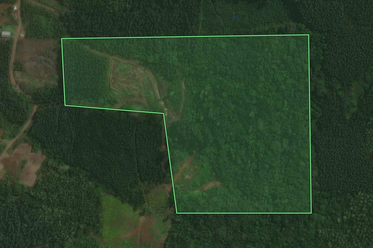 Imagem de satélite do imóvel rural em Paverama (RS), com o contorno declarado no CAR desenhado por cima.