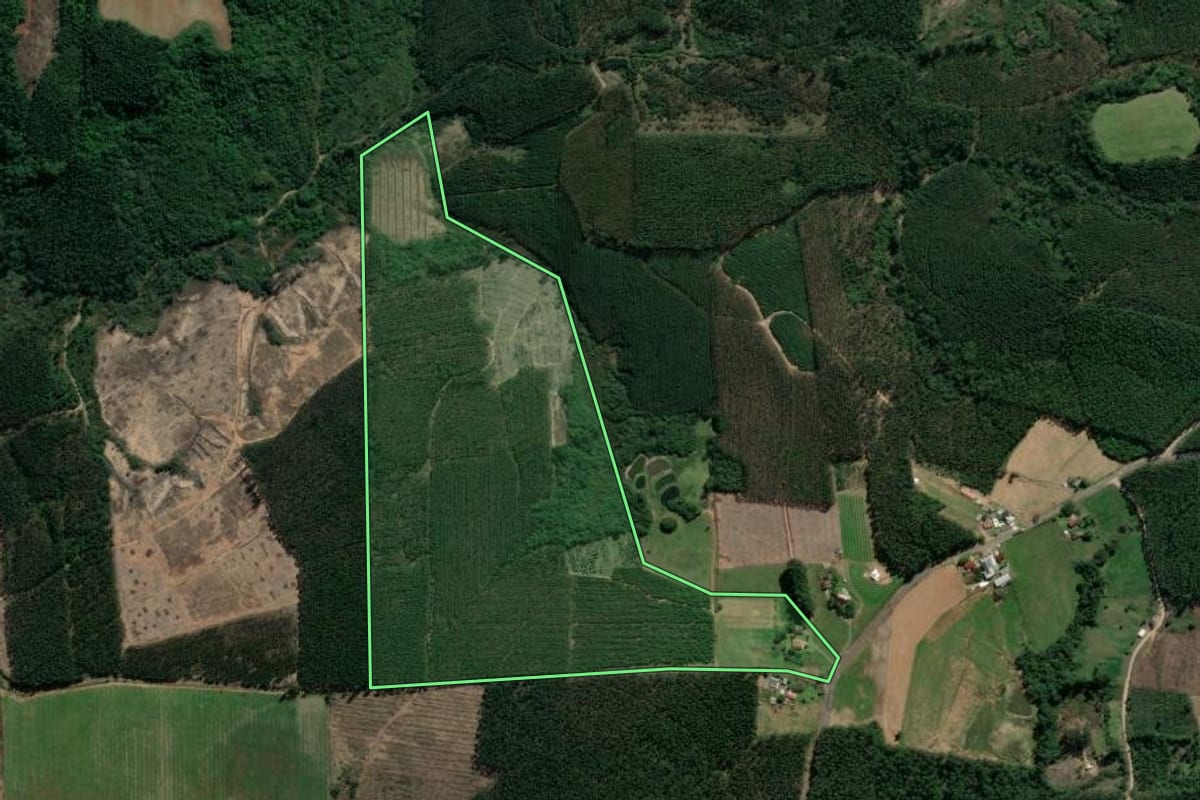 Imagem de satélite do imóvel rural em Paverama (RS), com o contorno declarado no CAR desenhado por cima.