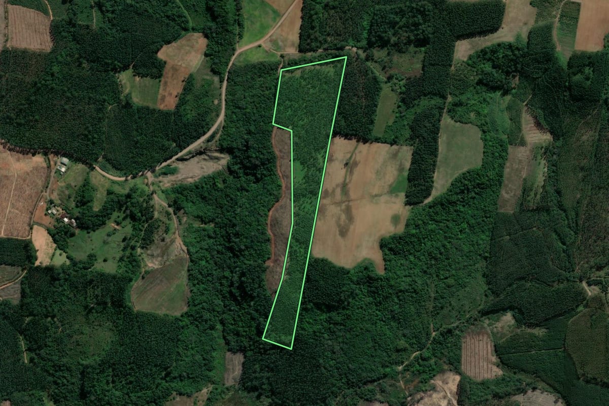 Imagem de satélite do imóvel rural em Paverama (RS), com o contorno declarado no CAR desenhado por cima.
