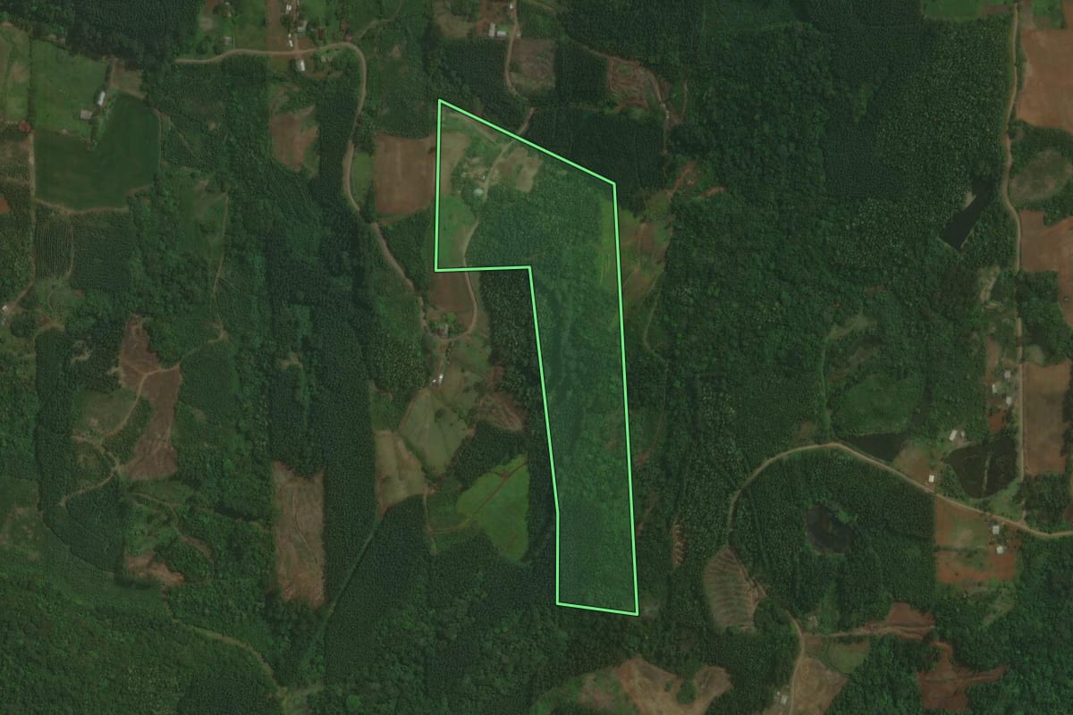 Imagem de satélite do imóvel rural em Paverama (RS), com o contorno declarado no CAR desenhado por cima.