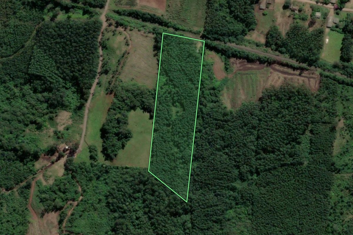 Imagem de satélite do imóvel rural em Paverama (RS), com o contorno declarado no CAR desenhado por cima.