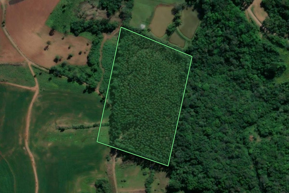 Imagem de satélite do imóvel rural em Paverama (RS), com o contorno declarado no CAR desenhado por cima.