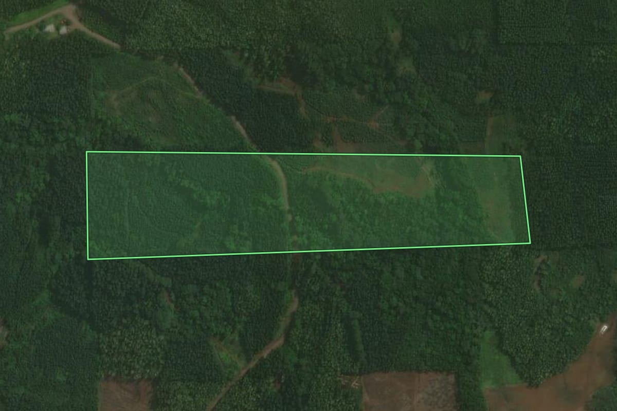 Imagem de satélite do imóvel rural em Paverama (RS), com o contorno declarado no CAR desenhado por cima.