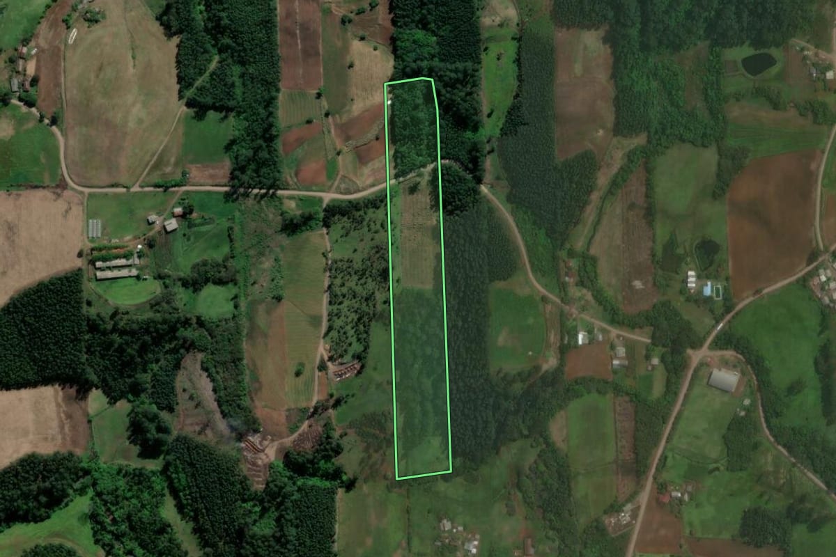 Imagem de satélite do imóvel rural em Paverama (RS), com o contorno declarado no CAR desenhado por cima.