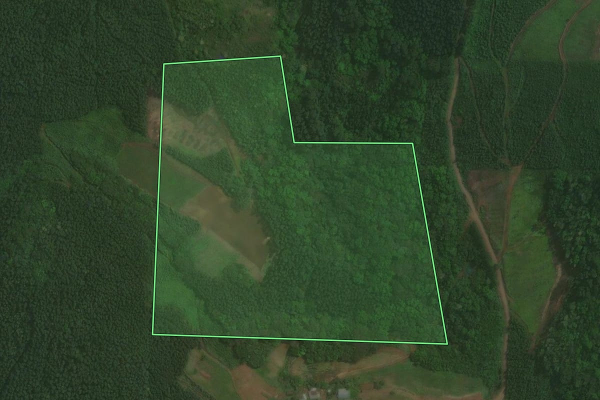 Imagem de satélite do imóvel rural em Paverama (RS), com o contorno declarado no CAR desenhado por cima.