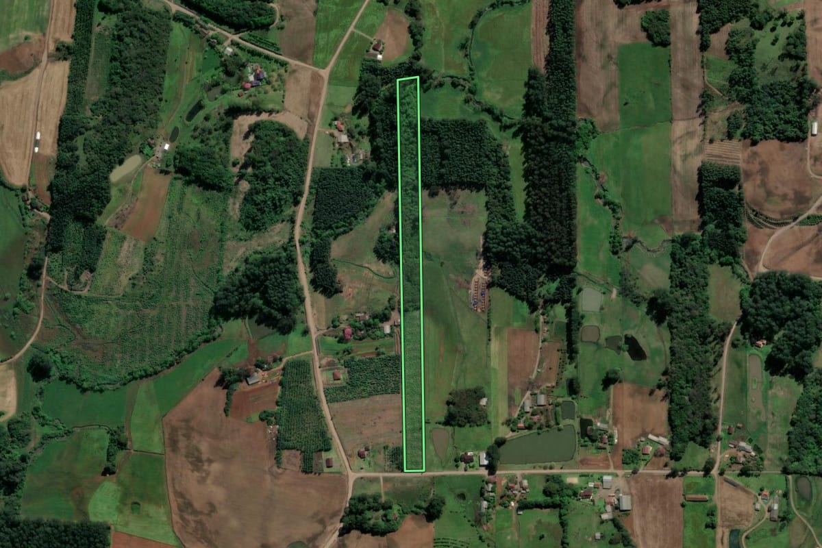 Imagem de satélite do imóvel rural em Paverama (RS), com o contorno declarado no CAR desenhado por cima.