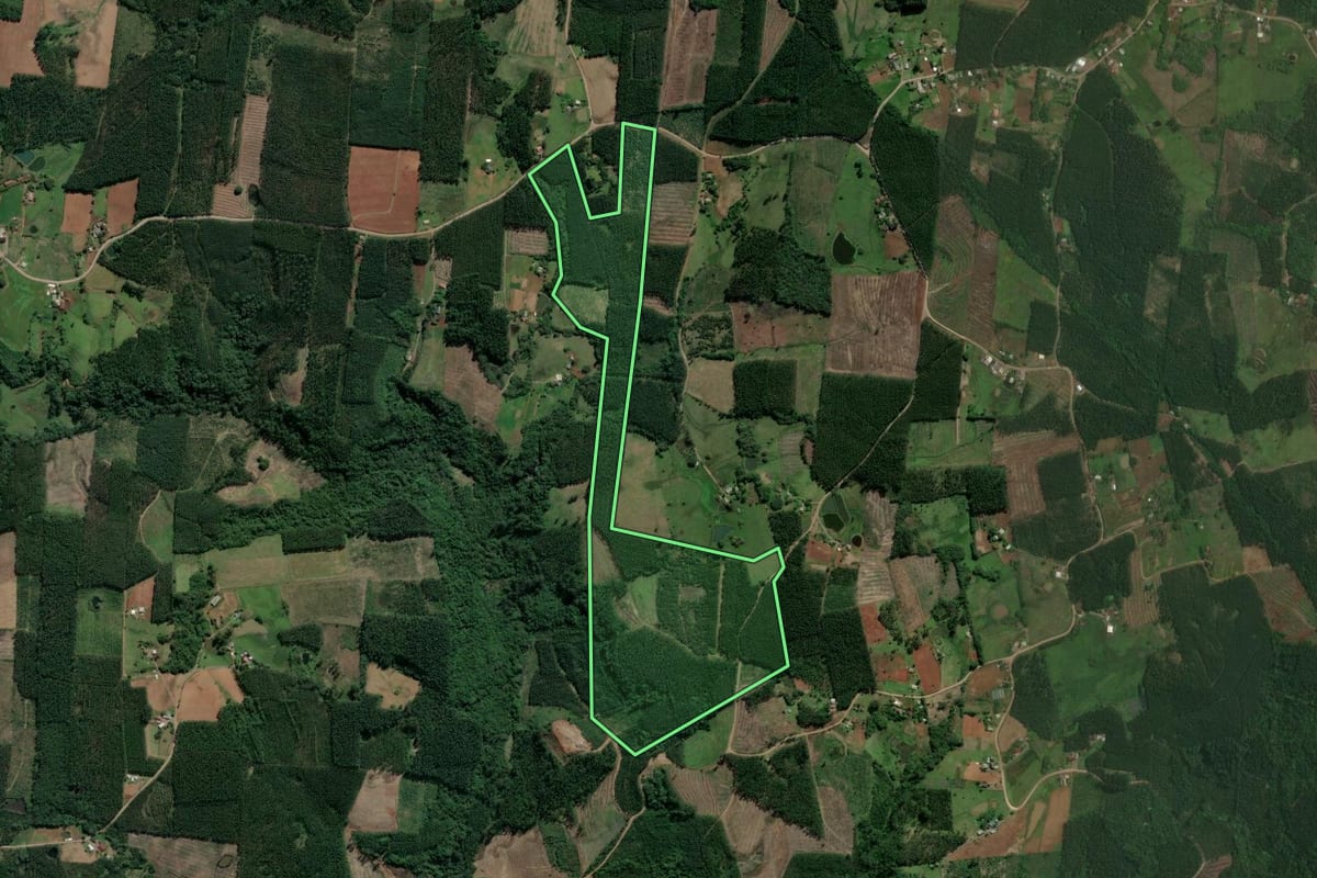 Imagem de satélite do imóvel rural em Paverama (RS), com o contorno declarado no CAR desenhado por cima.