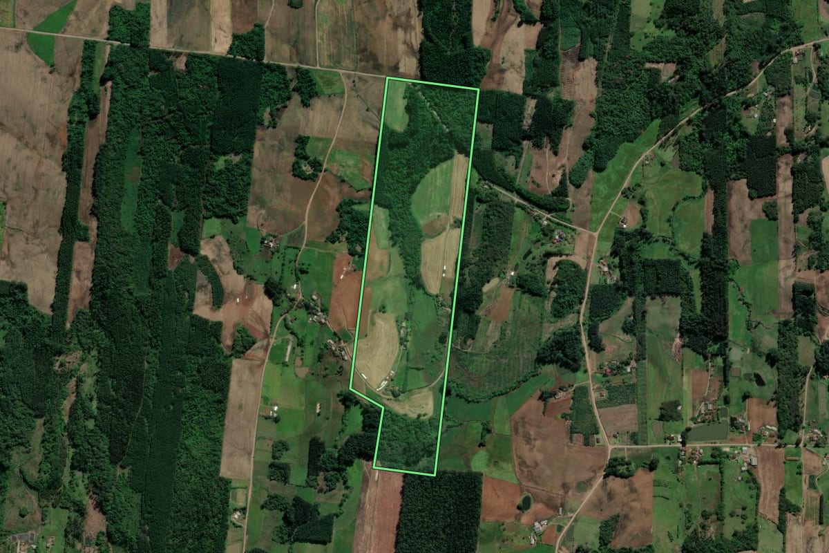 Imagem de satélite do imóvel rural em Paverama (RS), com o contorno declarado no CAR desenhado por cima.